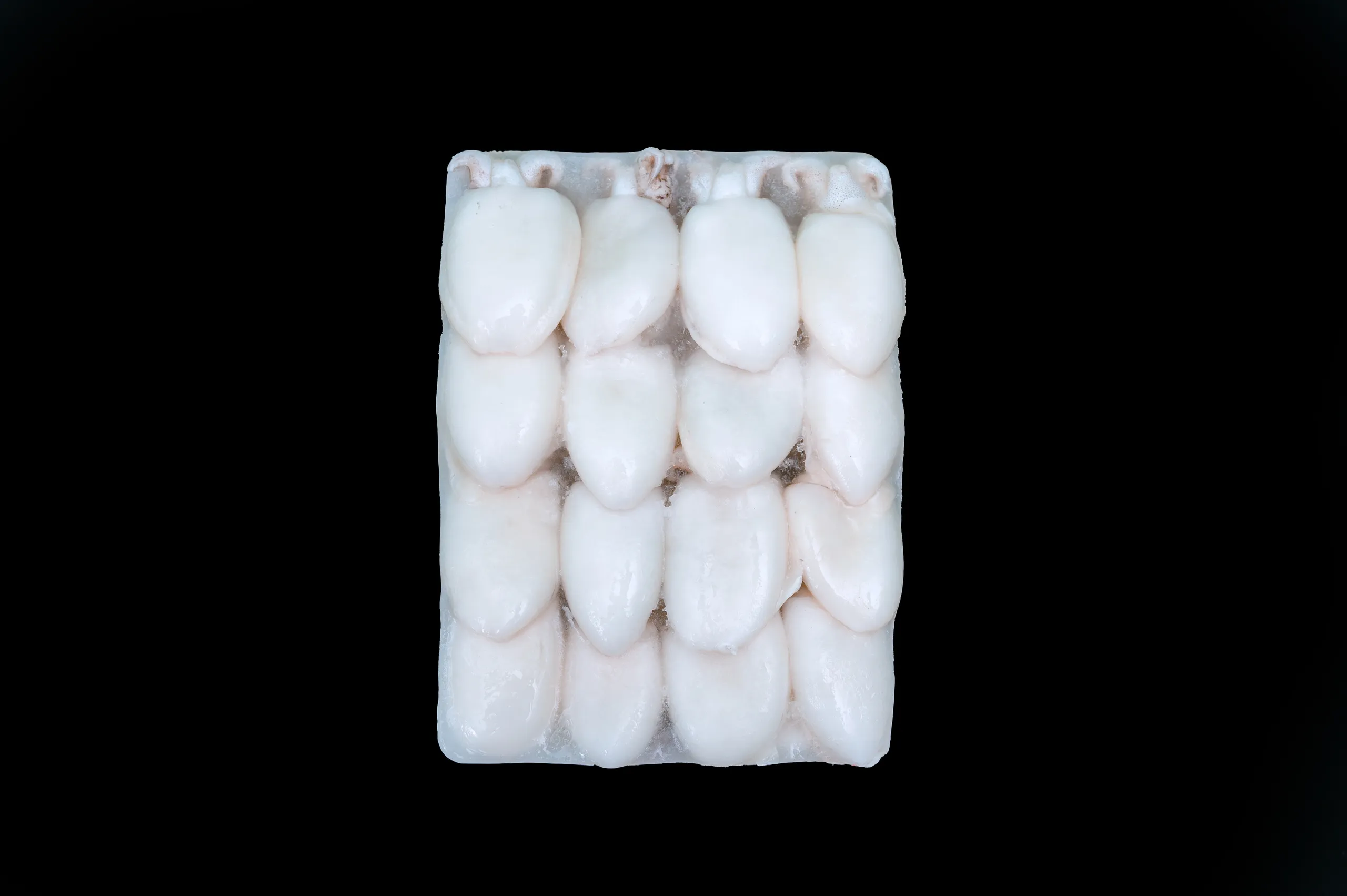 Whole Cleaned Cuttlefish BLOCK
