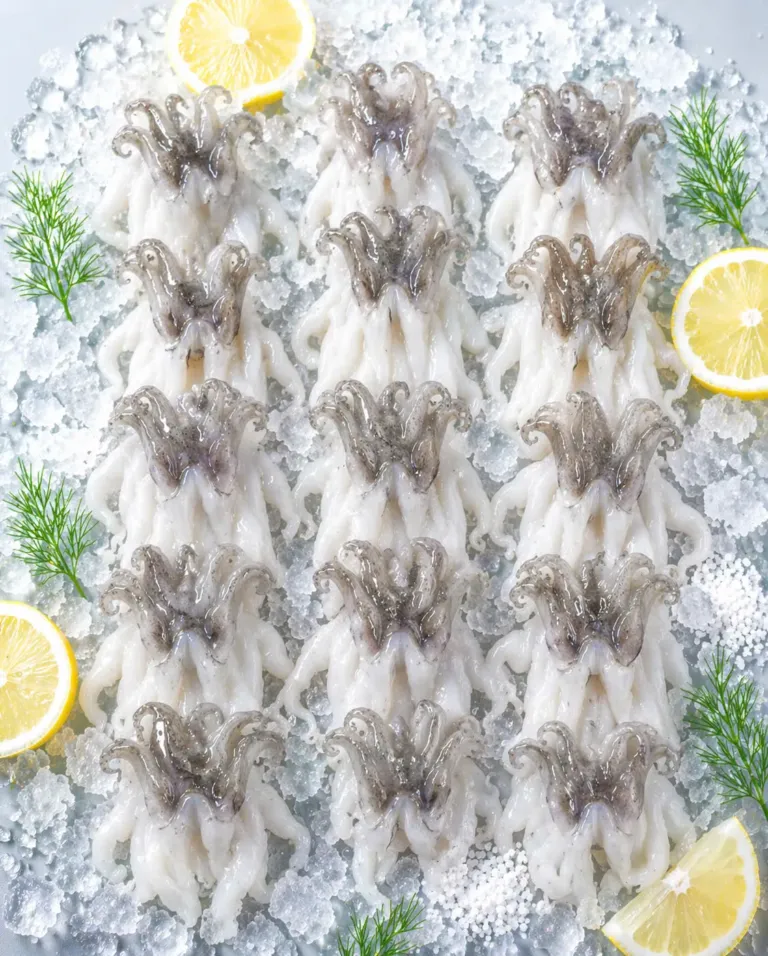 Cuttlefish Tentacles