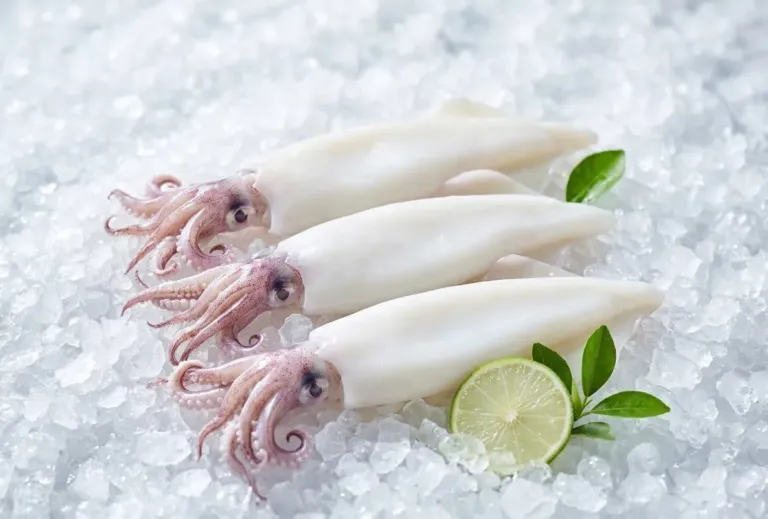 Whole Cleaned Squid