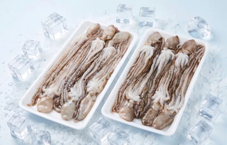 Whole Cleaned Long Leg Octopus