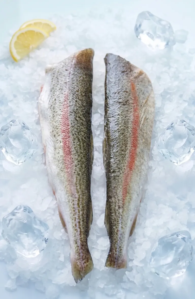 Fish Skin – Salmon / Cod / Halibut