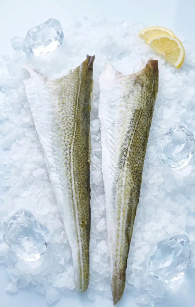 Fish Skin – Salmon / Cod / Halibut
