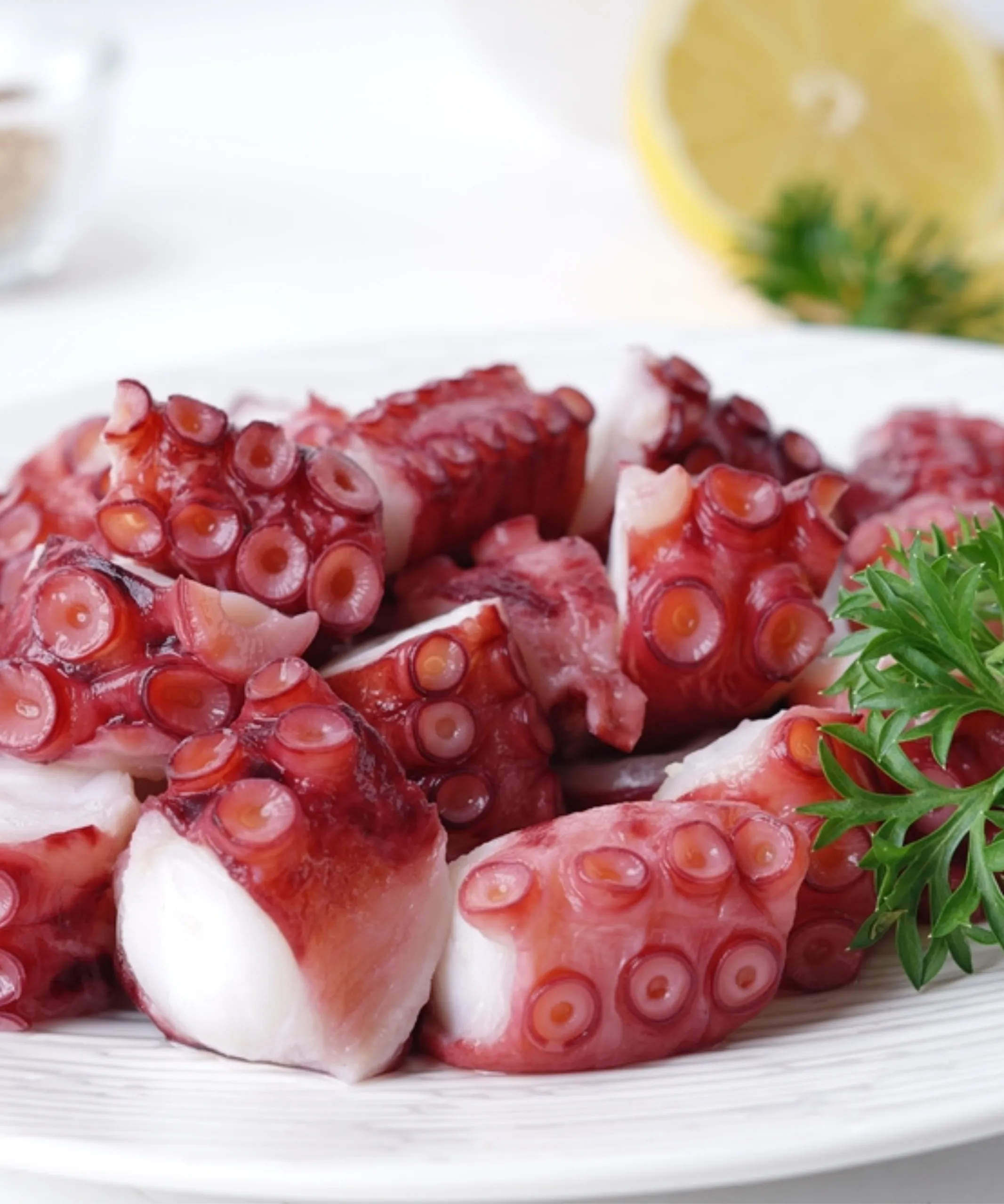 Boiled Cut Octopus Cut with Coloring Agent