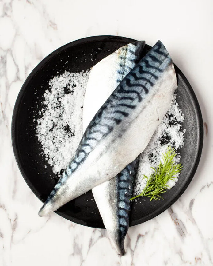 Mackerel Fillet PBI/PBO