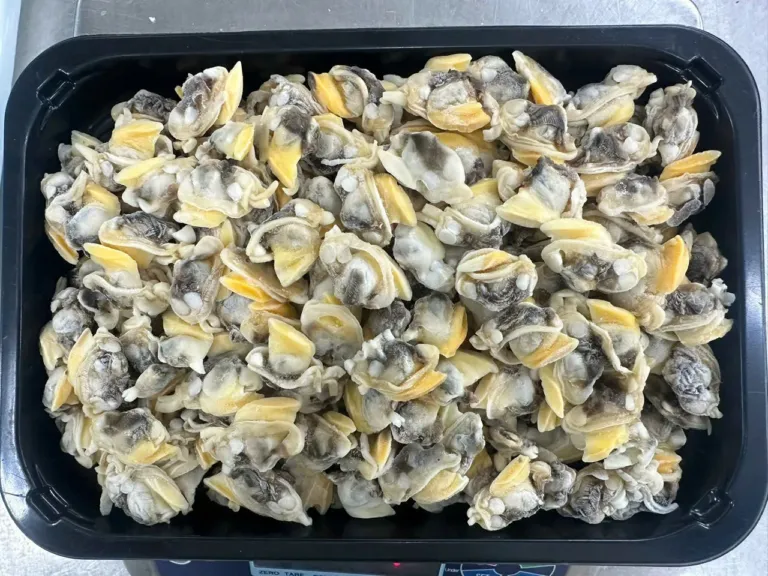 Yellow Clam Meat