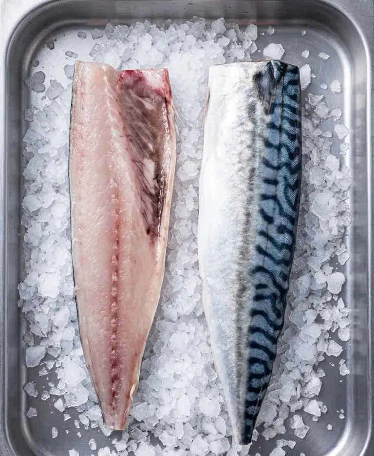 Mackerel Fillet PBI/PBO