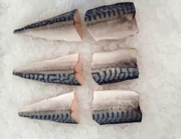 Mackerel Portion PBI/PBO