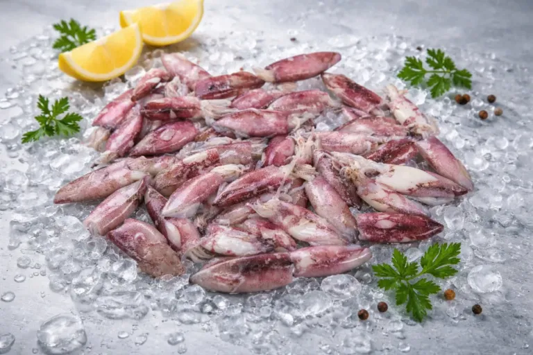 Whole Round Squid